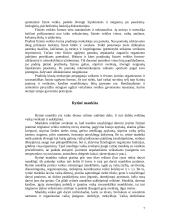 Fizinės veiklos formos vaikų darželyje ir pradinėje mokykloje 7 puslapis