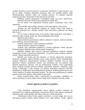 Fizinės veiklos formos vaikų darželyje ir pradinėje mokykloje 8 puslapis