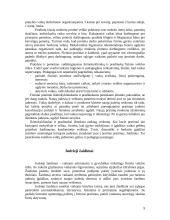 Fizinės veiklos formos vaikų darželyje ir pradinėje mokykloje 9 puslapis