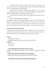 Fizinis aktyvumas ir dažniausiai pasitaikančios traumos 13 puslapis