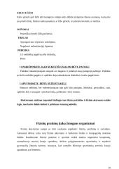 Fizinis aktyvumas ir dažniausiai pasitaikančios traumos 18 puslapis