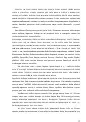 Fizinis aktyvumas ir dažniausiai pasitaikančios traumos 19 puslapis