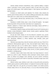 Fizinis aktyvumas ir dažniausiai pasitaikančios traumos 5 puslapis