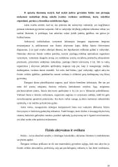 Fizinis aktyvumas ir dažniausiai pasitaikančios traumos 10 puslapis