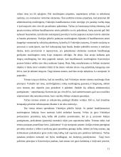 Vertėjo dalyvavimas Baudžiamajame procese 11 puslapis