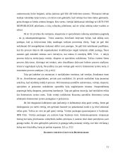 Vertėjo dalyvavimas Baudžiamajame procese 13 puslapis