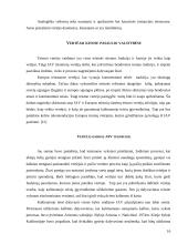Vertėjo dalyvavimas Baudžiamajame procese 16 puslapis