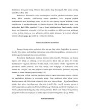Vertėjo dalyvavimas Baudžiamajame procese 17 puslapis