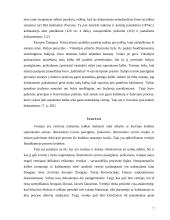 Vertėjo dalyvavimas Baudžiamajame procese 7 puslapis