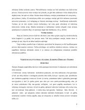 Vertėjo dalyvavimas Baudžiamajame procese 8 puslapis
