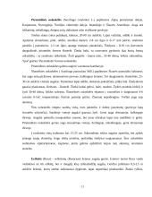 Floros paplitimas ir įvairovė kalnuose 12 puslapis