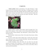 Floros paplitimas ir įvairovė kalnuose 4 puslapis