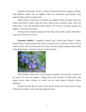 Floros paplitimas ir įvairovė kalnuose 6 puslapis