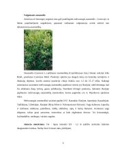 Floros paplitimas ir įvairovė kalnuose 7 puslapis