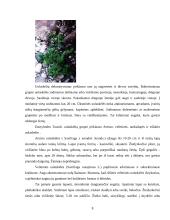 Floros paplitimas ir įvairovė kalnuose 9 puslapis