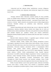 Viduriavimas 3 puslapis