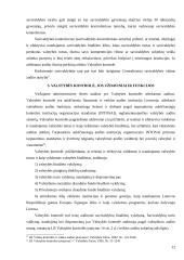 Viešojo administravimo kontrolės modeliai ir rūšys 12 puslapis