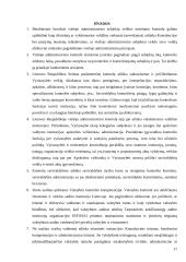 Viešojo administravimo kontrolės modeliai ir rūšys 17 puslapis