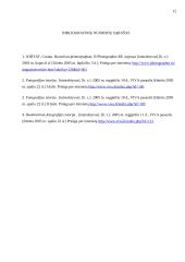 Fotografija kaip komunikacijos priemonė 12 puslapis