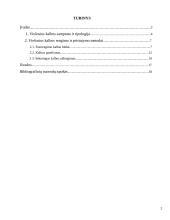 Viešosios kalbos rengimo metodika 2 puslapis