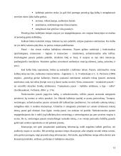 Viešosios kalbos rengimo metodika 13 puslapis