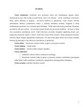 Viešosios kalbos rengimo metodika 3 puslapis