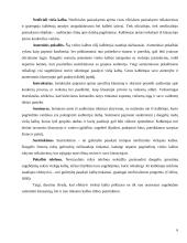 Viešosios kalbos rengimo metodika 6 puslapis