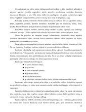 Viešosios kalbos rengimo metodika 10 puslapis