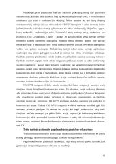 Frančizės įmonės 13 puslapis