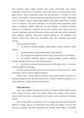 Frančizės įmonės 15 puslapis