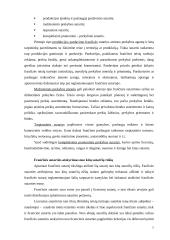Frančizės įmonės 7 puslapis