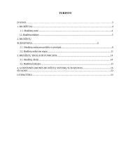 Gamybinės įmonės biudžeto sudarymas