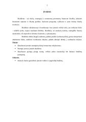 Gamybinės įmonės biudžeto sudarymas 2 puslapis