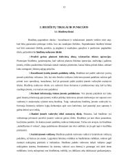 Gamybinės įmonės biudžeto sudarymas 13 puslapis