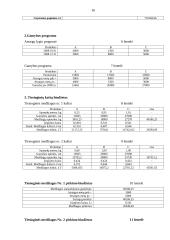 Gamybinės įmonės biudžeto sudarymas 16 puslapis