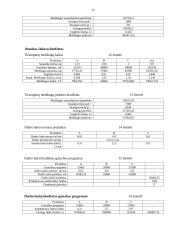 Gamybinės įmonės biudžeto sudarymas 17 puslapis