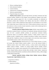 Gamybinės įmonės biudžeto sudarymas 7 puslapis