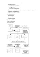 Gamybinės įmonės biudžeto sudarymas 8 puslapis