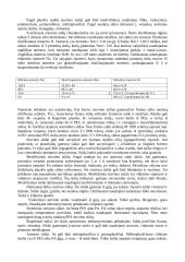 Galanterijos prekės 2 puslapis