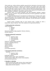 Galanterijos prekės 3 puslapis