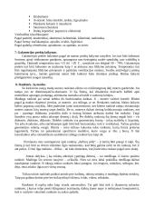 Galanterijos prekės 4 puslapis