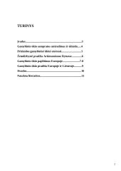 Gamybinio ūkio atsiradimas ir sklaida 2 puslapis