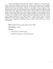Celiulitas 2 puslapis