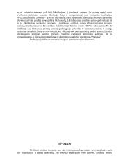 Juridinių asmenų teisnumas ir veiksnumas 12 puslapis