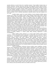 Juridinių asmenų teisnumas ir veiksnumas 13 puslapis