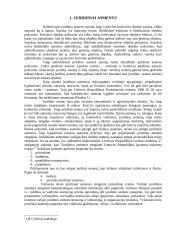 Juridinių asmenų teisnumas ir veiksnumas 4 puslapis