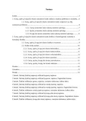 Garsų, spalvų, kvapų bei skonio raiška Balio Sruogos "Milžino paunksmė" 2 puslapis