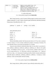 Garsų, spalvų, kvapų bei skonio raiška Balio Sruogos "Milžino paunksmė" 10 puslapis