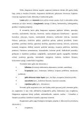 Gėlių įvairovė 2 puslapis