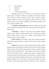 Gėlių įvairovė 3 puslapis